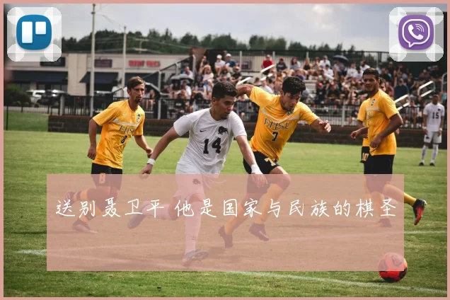 送别聂卫平 他是国家与民族的棋圣