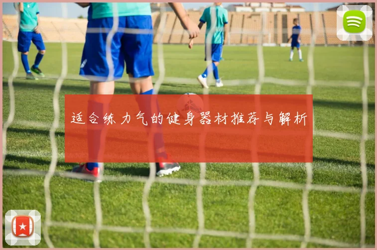 适合练力气的健身器材推荐与解析