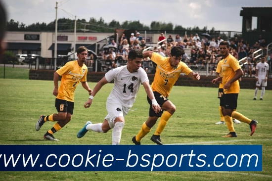 多媒体互动体验